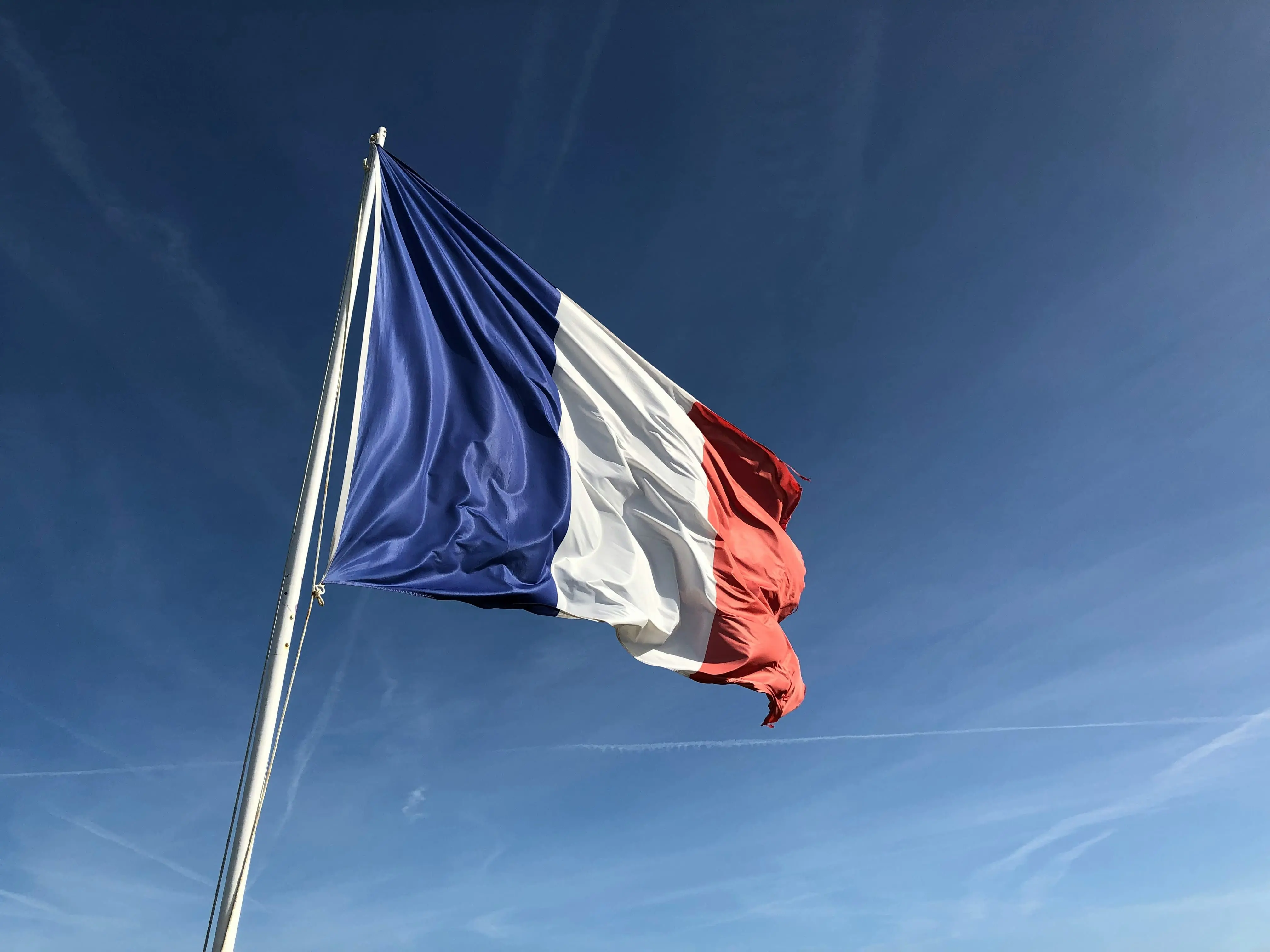 Français tous niveaux classe virtuelle illimité